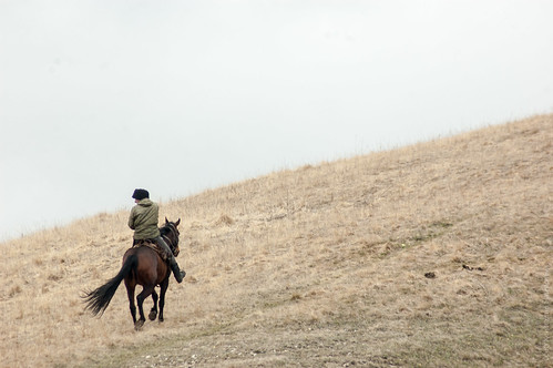 Caucasian Rider ©  Konstantin Malanchev