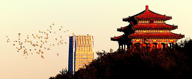 Jingshan Park with birds in autumn