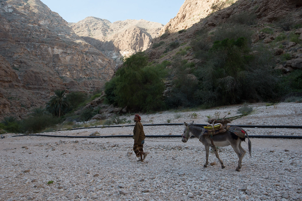 A man and his donkey at Wadi Shab
