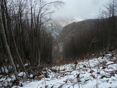 Escursionismo Gemelli - Monte Foltrone da Guazzano