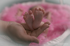 Baby Charlotte Newborn Photoshoot-013.jpg