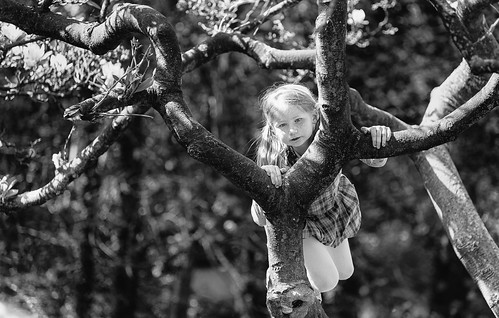 Pippi on the Tree