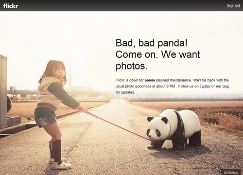 Bad,_bad_panda!