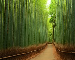 Бамбуковая тропа, Япония