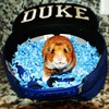 One of our favorite submissions from Working@Duke’s Pet Photo Contest is Rasheed Sulaimon, the hamster. He likes “makin buckets, running on wheel, being adorable” and belongs to employee Angelo Moreno. #goduke