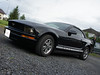 Ford Mustang Serie V PVC-Original-Line