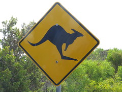 Australie :) <a style="margin-left:10px; font-size:0.8em;" href="http://www.flickr.com/photos/83080376@N03/16373097932/" target="_blank">@flickr</a>
