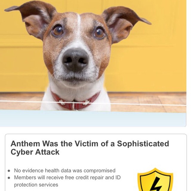 Morning #GasmNation this PSA sponsored by #Anthem The company is a victim of a cyber attack. Take necessary action to protect your information.