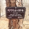 Hmm usually in my country there are signs with the plants/trees names only in the botanical garden. In Korea you can see it everywhere, in parks, on the top of the mountain and so on..it doesnt have to be a special place to learn what kind of plant is