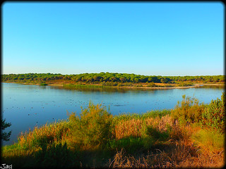 Laguna del Portil (Huelva)