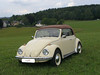 VW 1500 Cabriolet 1967 bei Fa. Berns, Waldbröhl, Verdeck in Sonnenland-Classic mahagoni Heckfenster vom 03er Modell leider ohne Chrom nach Kundenwunsch
