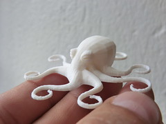 3D printed octopus