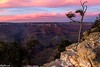 The last light - Grand Canyon, AZ If you are in US, tune in to Discovery at 8pm tonight to watch Nik Wallenda cross GC without tether. http://bit.ly/12KEsuS