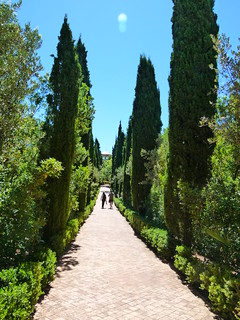 Jardín de L´Albarda - Pedreguer - Alicante