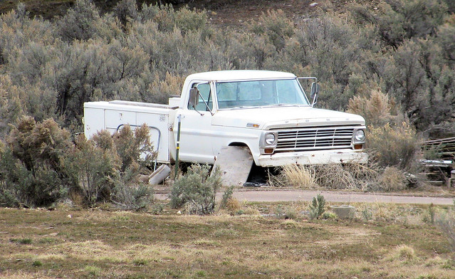 old white classic ford 1969 truck vintage utility pickup pickuptruck dent vehicle 1960s dents jalopy beatup junker beater madeinusa americanmade dented oxidized fomoco longbed f250 worktruck farmtruck 34ton eyellgeteven utilitybed