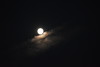The Lunar Moon Eclipse - 10-18-13