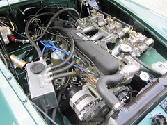 MGC GTS Sebring (1967) LHD.
