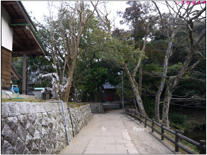 鳥取白兔神社 (17).JPG
