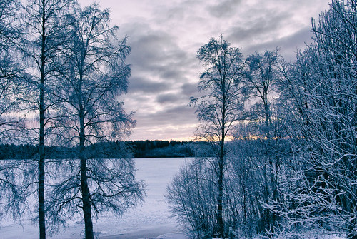 Frosty Morning. ©  Andrey Korchagin