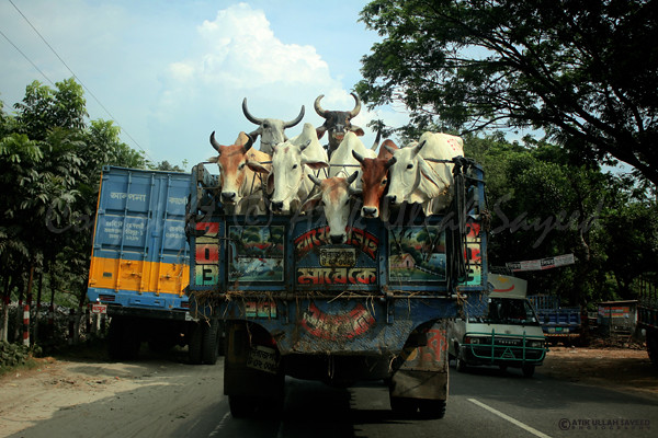 A memorable ride to the mega City Dhaka