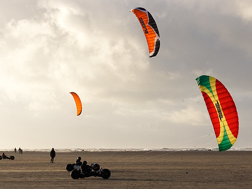 Texel kite buggy club