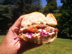 Hapuku fish sandwich