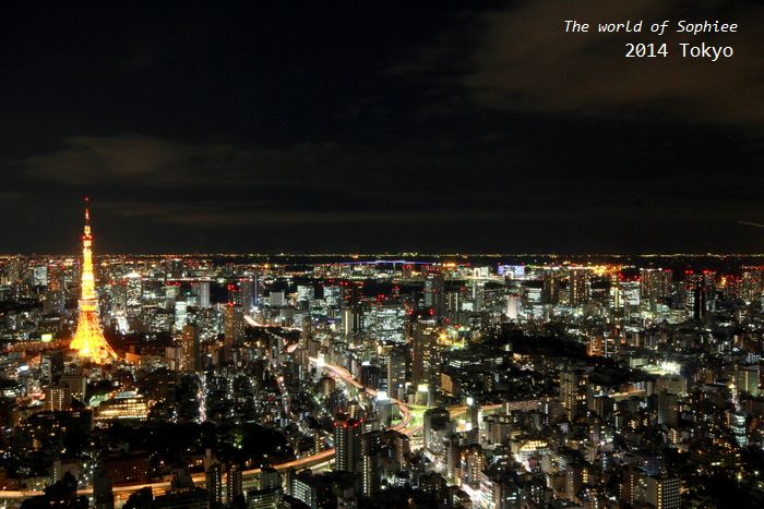 ［2014日本］傳說中的絕佳夜景觀覽。六本木之丘「森大樓」