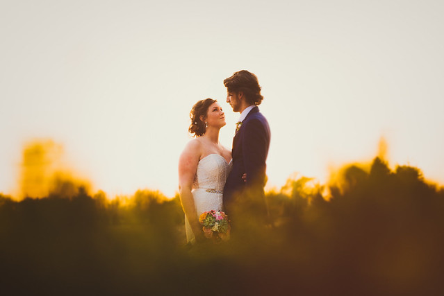 Jenelle & Luke // Sarnia, Ontario // Backyard // 2016 // Wedding