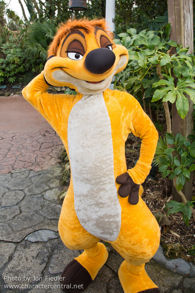 Timon at Disney Character Central