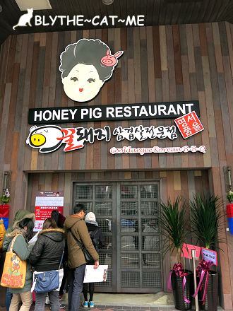 Honey Pig (2)