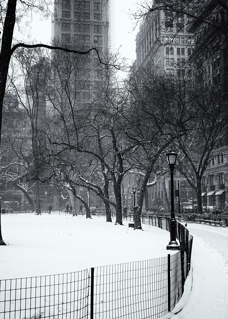 Blizzard of 2015 - New York City