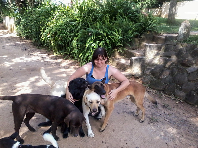 Too Many Dogs, Hazyview, South Africa.