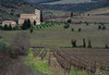 SantAnimo Wineyard