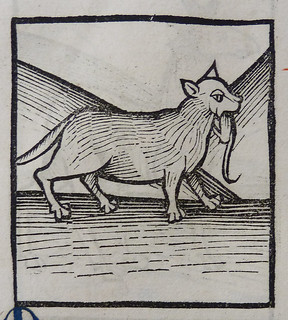 From http://www.flickr.com/photos/58558794@N07/9134721990/: Woodcut of a cat
