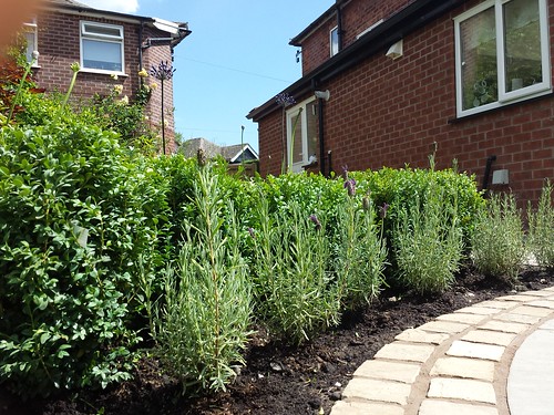 Landscaping and Paving Handforth Image 9