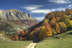 Escursionismo Gemelli - Monte Tignoso - Corvino - Laturo