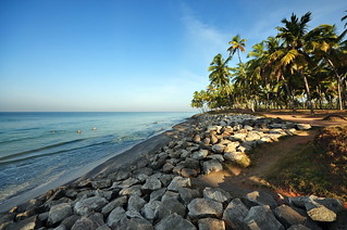 India - Kerala - Varkala - Coastline - 84