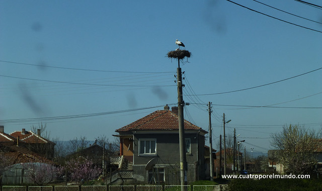 Cigüeña en un poste de la luz camino de Plovdiv