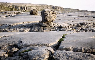 de Burren, een kaal karstplateau met zwerfstenen, Ierland 2004