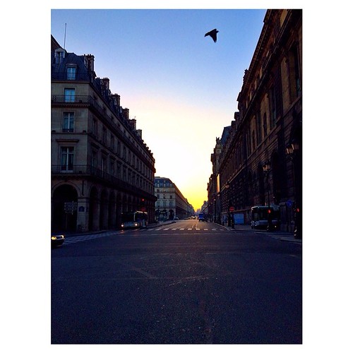 Good Morning Paris ©  Michael Grech