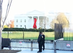 Commemorative Red Ribbon White House 2014 World AIDS Day 50186