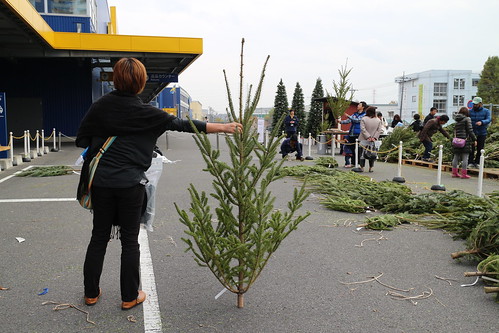 IKEA ABIES Xmas tree 2014