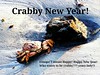Crabby New Year! ooops,I meant  Happy New Year! Who wants to be crabby?? Crazy lady!