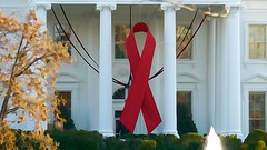 Commemorative Red Ribbon White House 2014 World AIDS Day 50176