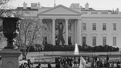 Commemorative Red Ribbon White House 2014 World AIDS Day 50177