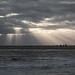 https://www.twin-loc.fr Sunset Coucher de soleil - Cap Ferret Bassin d'Arcachon Ocean Pecheur Fisherman Beach Plage Waves Vagues Water Eau - Picture Image Photography