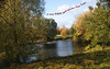 Horsham Park - view of the pond 1 - New Year greetings for MofH