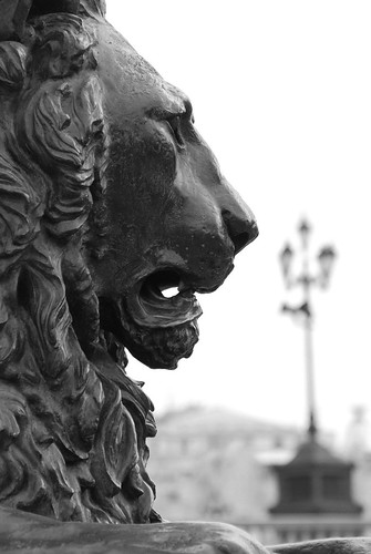 Lionhead ©  Andrey