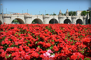 Puente de Toledo 3