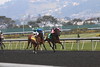 Pop Fizz Clink leads Red Hot Rocket in the 1st race at GGF